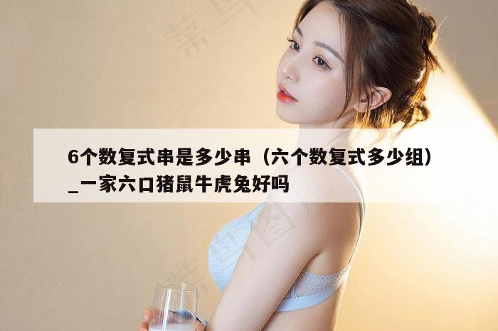 6个数复式串是多少串(六个数复式多少组)_一家六口猪鼠牛虎兔好吗